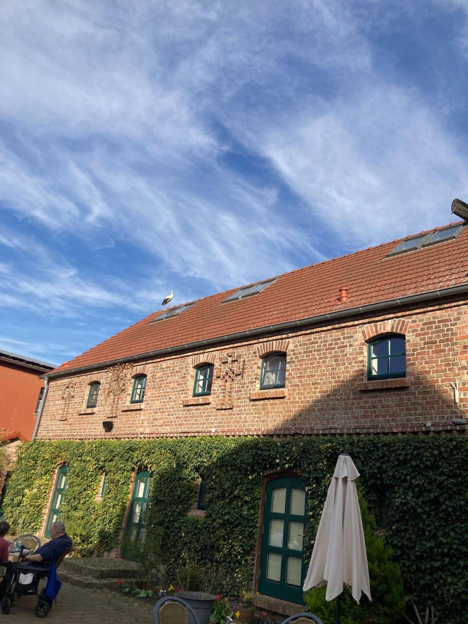 Pensionszimmer Im Fliederhof Michendorf Extérieur photo